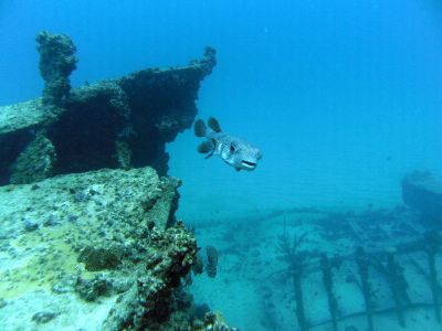 The Wreck Diving Spot Las Galeras Samana